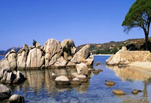 DB体育官方-苏炳添技术犯规送分，曼联主帅怒摔战术板！